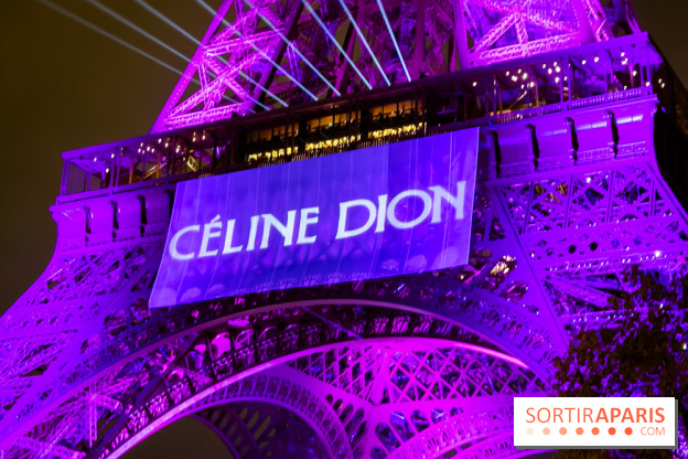 Céline Dion en concert à Paris, pourquoi la jaune est réduite ? 