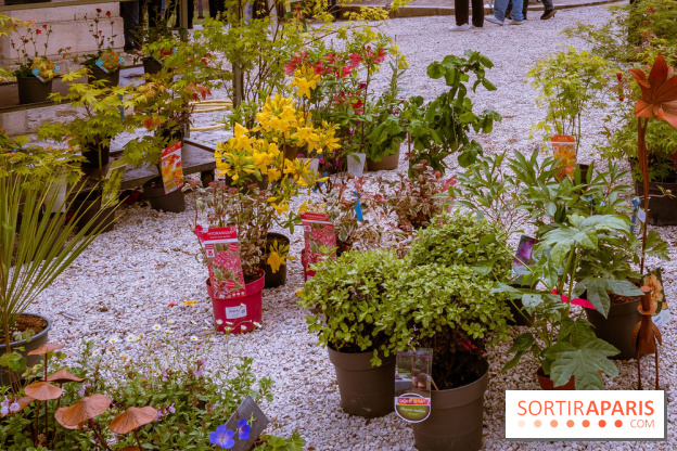 Jardins en fête à Auvers 91