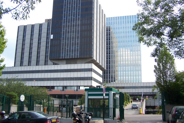 Hantavirus à Paris