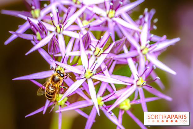 La Fête de la Nature et du bien-être animal vous attend ce samedi en Val-de-Marne