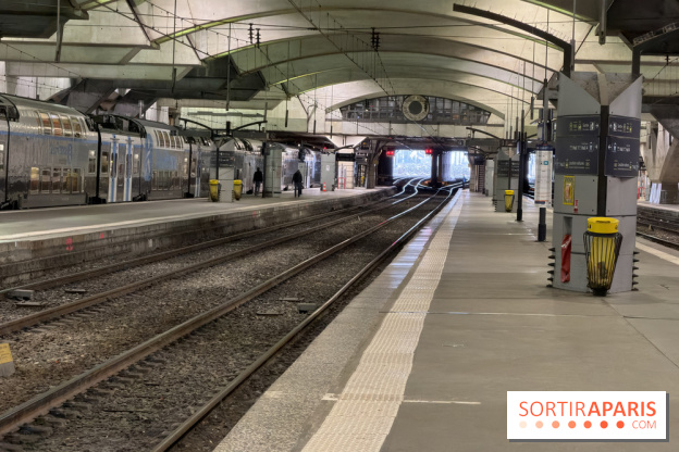 Canicule : RER et Transilien, des trains supprimés ce mardi en IDF