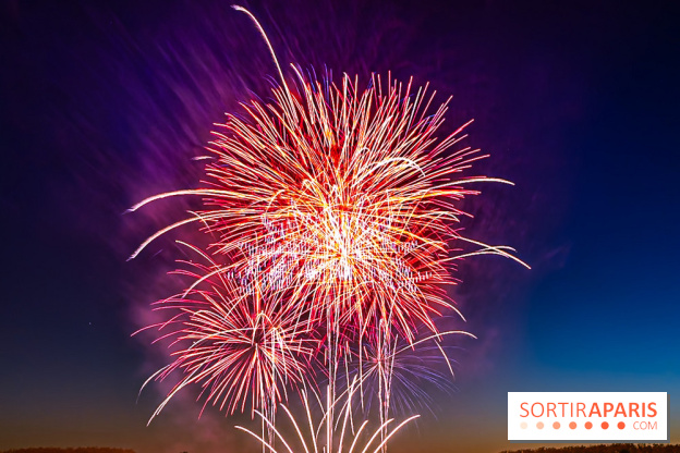 Seine-et-Marne, les feux d'artifice du 14 juillet interdits dans les zones sensibles