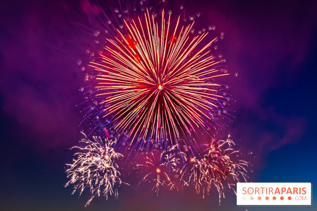 Après l'Essonne, les Yvelines, le Val d'Oise et la Seine-et-Marne interdisent les feux d'artifice