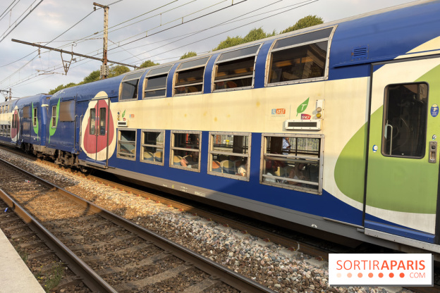 Transports Paris Île-de-France : perturbations métro et RER du 20 au 26 juillet 2026