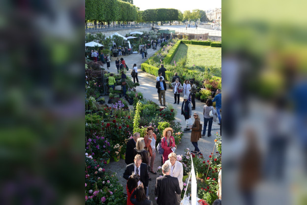 Jardins, jardin 2015 aux Tuileries 