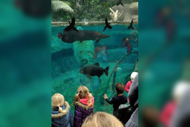 Le Parc Zoologique de Paris pour les vacances de printemps