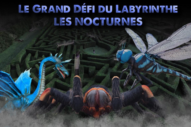 Le Grand Défi du Labyrinthe du Zoo de Thoiry en nocturne