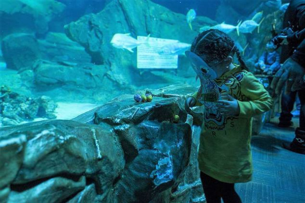 Chasse aux oeufs de Pâques à l'Aquarium de Paris