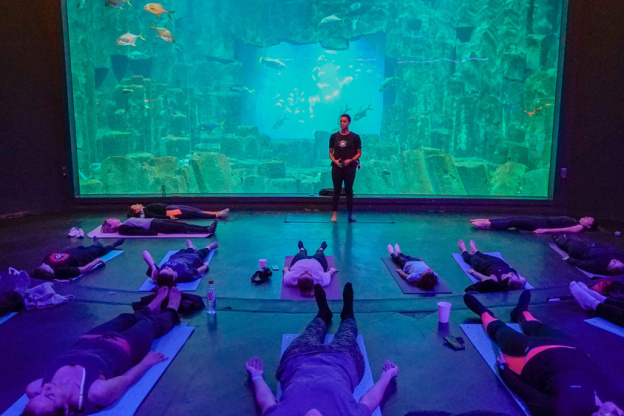 YogAquarium : du yoga en famille à l'Aquarium de Paris