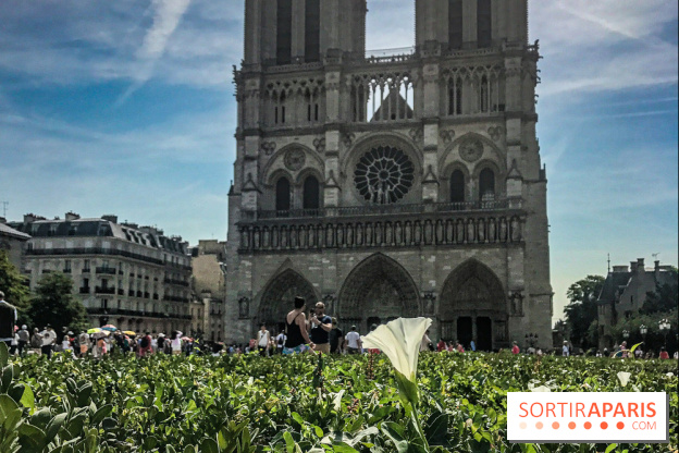 Réouverture du Parvis et de la rue du Parvis de Notre-Dame de Paris