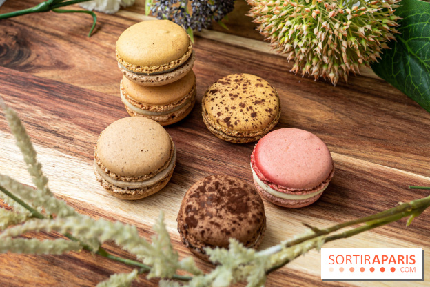 Jour du Macaron 2021 à Paris et en Ile de France 