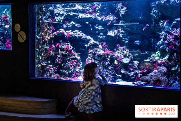 L'Aquarium Tropical de la Porte Dorée se renouvelle 