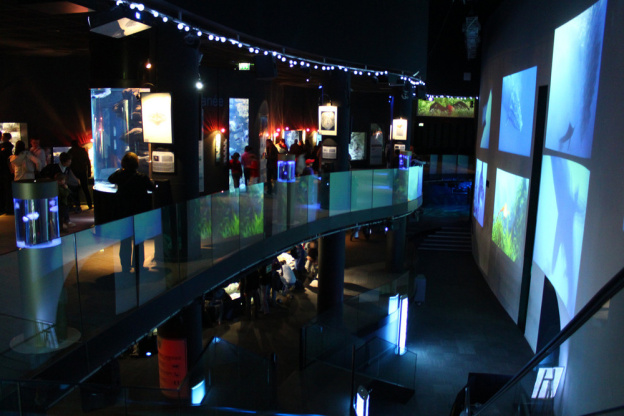 saint valentin aquarium de paris, saint valentin cinéaqua