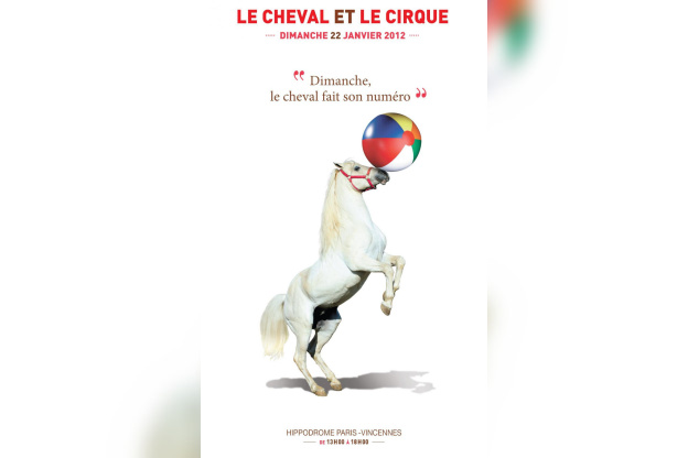 le cheval et le cirque, hippodrome de vincennes