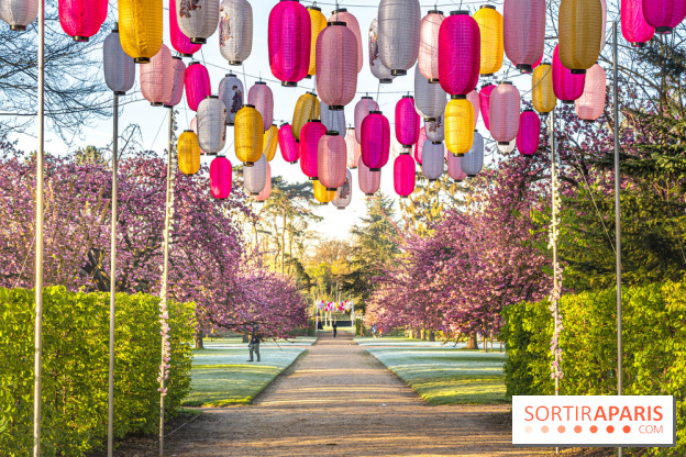 Hanami: festival bunga sakura di Parc de Sceaux, program tahun 2024 ...