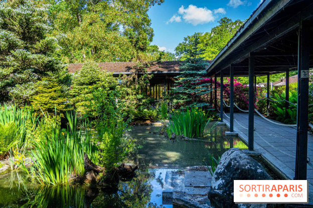Les jardins japonais du Parc Floral de Paris au Bois de Vincennes 