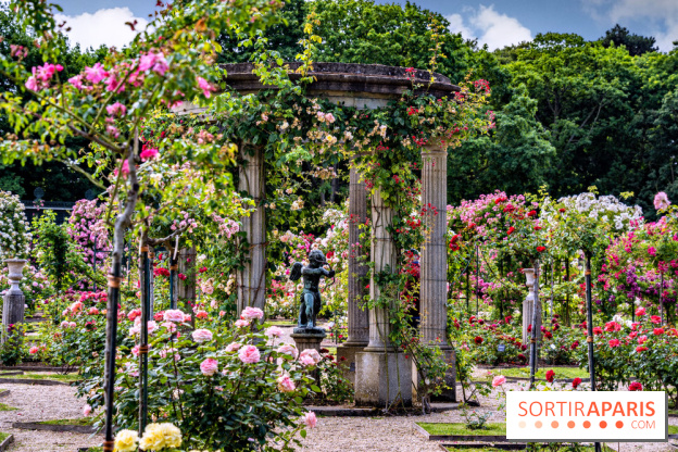 Les plus belles roseraies à Paris et en Île-de-France