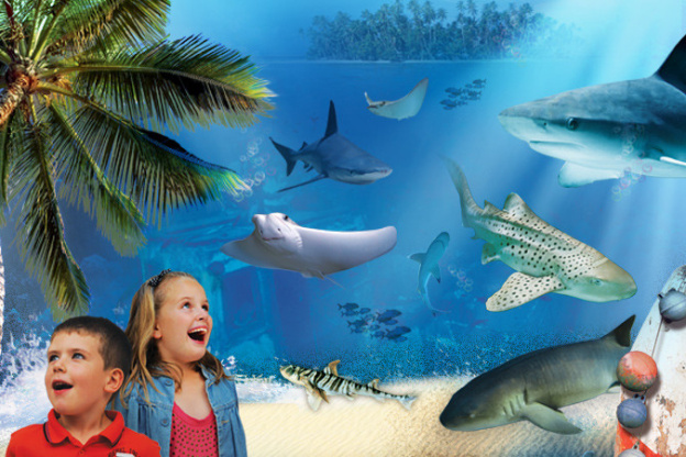 L'ile aux requins... Osez l'aventure, sea life, aquarium