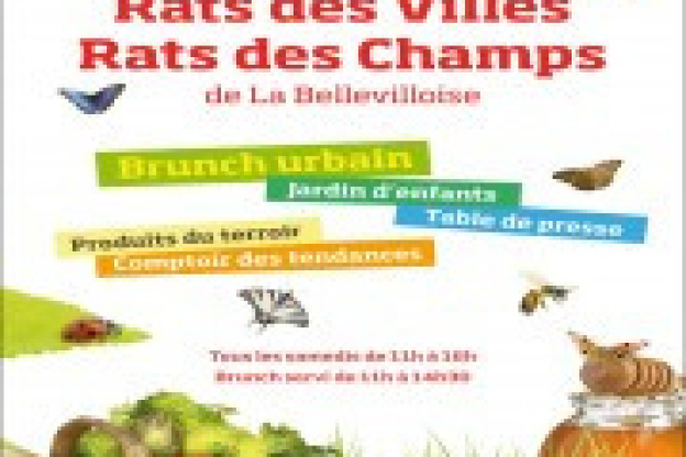 Les samedis Rats des villes, Rats des champs de la Bellevilloise