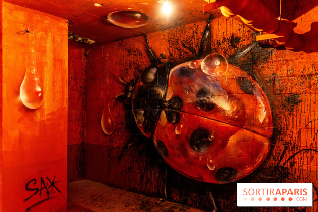 Colors Festival 2023, l'immense expo street art - Sax