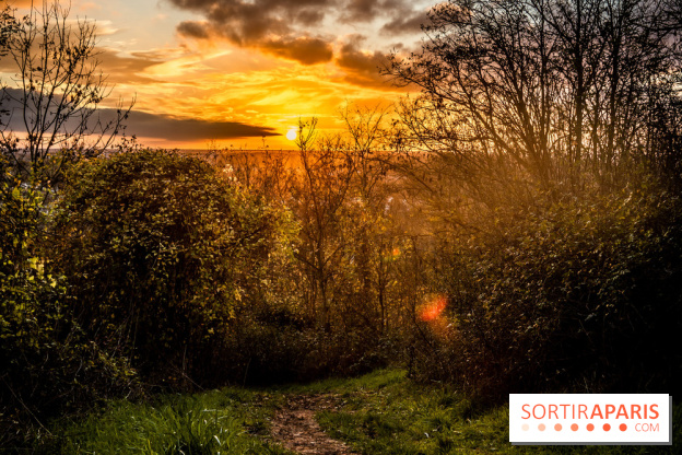Colline d’elancourt - colline de la revanche 