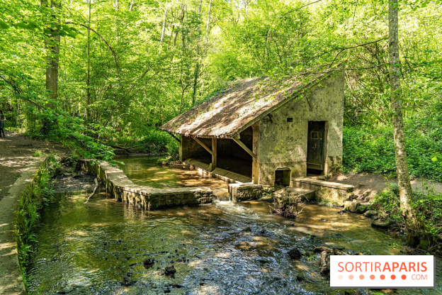 Fête de la Nature 2023 dans les Yvelines (78) : Le programme