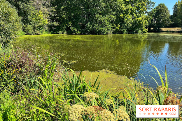 Fête de la Nature à Issy-les-Moulineaux, le programme gratuit