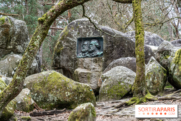 Nuit des Forêts à Fontainebleau 2023 entre art, nature et découvertes gratuites