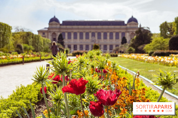 8 trésors méconnus du Jardin des Plantes de Paris à découvrir absolument