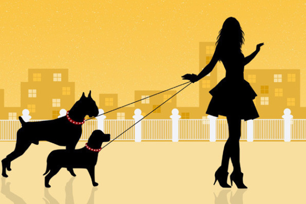 La Garderie pour chien du BHV Rivoli pour les soldes