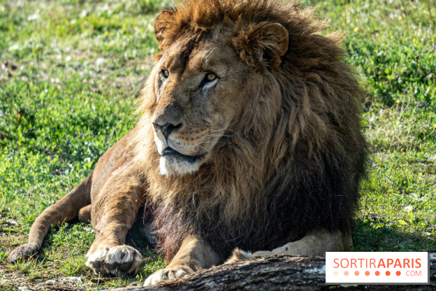 Halloween aux Parcs Zoologiques de Lumigny : Une Aventure Mystérieuse vous attend !