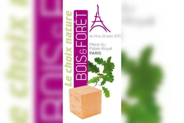 Bois et Forêt, Place du Palais Royal