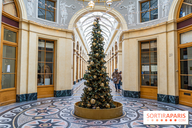 11 spots photos de Noël canons à Paris 2023 pour profiter des illuminations magiques - galerie Vivienne