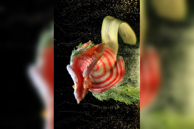 Festival de la Photographie Culinaire