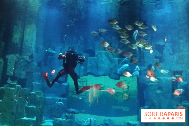 Exposition Under The Pole à l'Aquarium de Paris