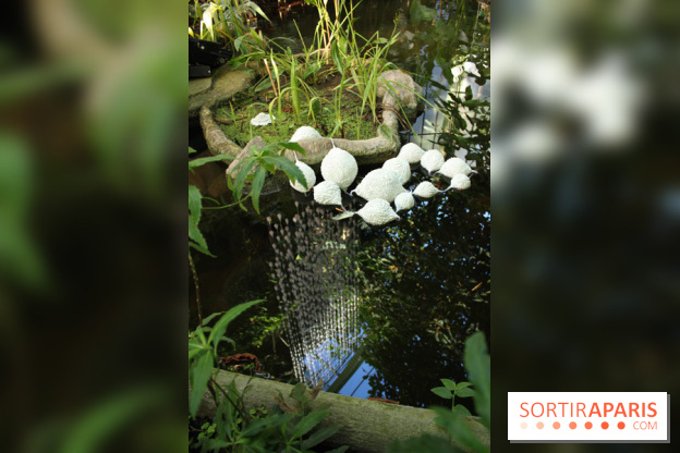 Noces Végétale au Jardin des Plantes : ilots