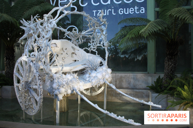 Noces Végétale au Jardin des Plantes : la caleche
