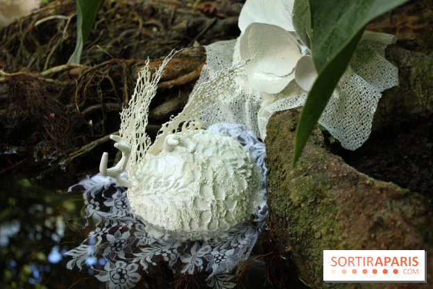 Noces Végétale au Jardin des Plantes : ilots