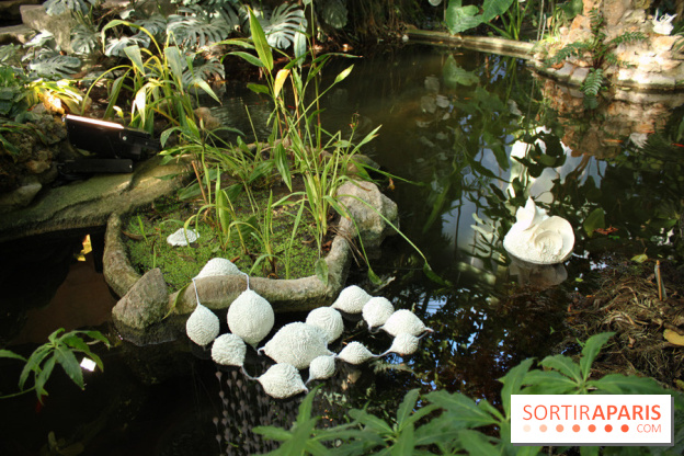 Noces Végétale au Jardin des Plantes : ilots