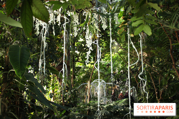 Noces Végétale au Jardin des Plantes : portique de dentelle