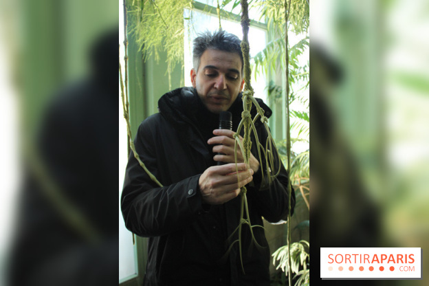 Noces Végétales au Jardin des Plantes : Tzuri Gueta