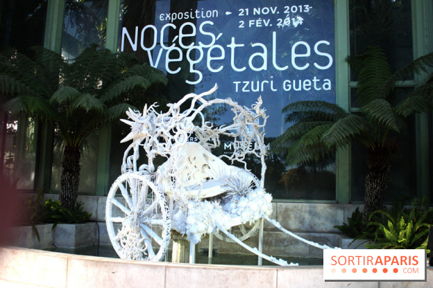 Noces Végétales au Jardin des Plantes : la calèche
