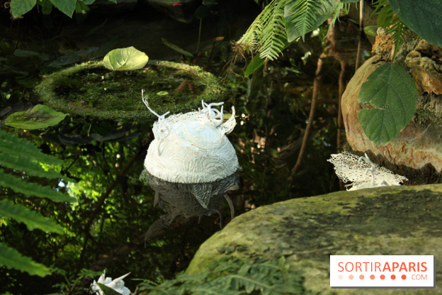 Noces Végétales au Jardin des Plantes