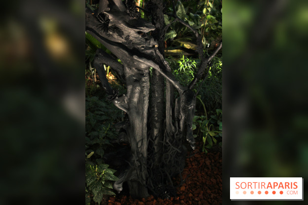 Noces Végétales au Jardin des Plantes : le marié