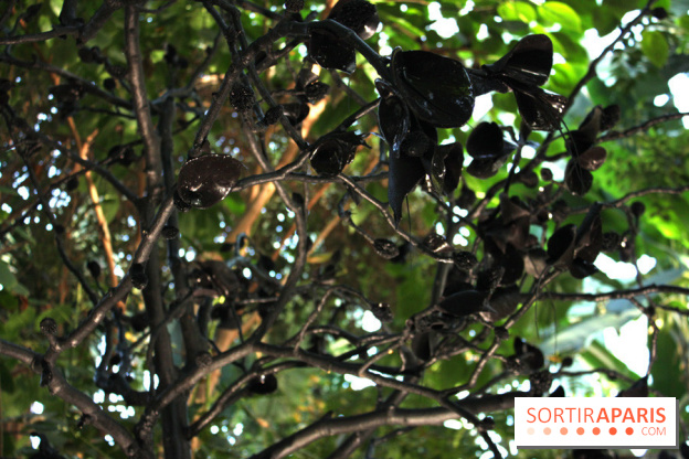 Noces Végétales au Jardin des Plantes : le marié