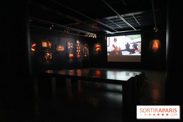 Exposition coquillages et crustacés à l'aquarium de la Porte Dorée