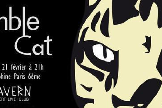  Rumble Cat en concert au Cavern