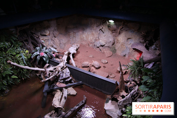 Aquarium de la Porte Dorée à Paris