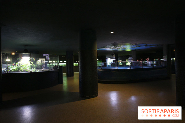Aquarium de la Porte Dorée à Paris