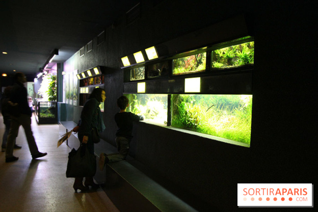 Aquarium de la Porte Dorée à Paris